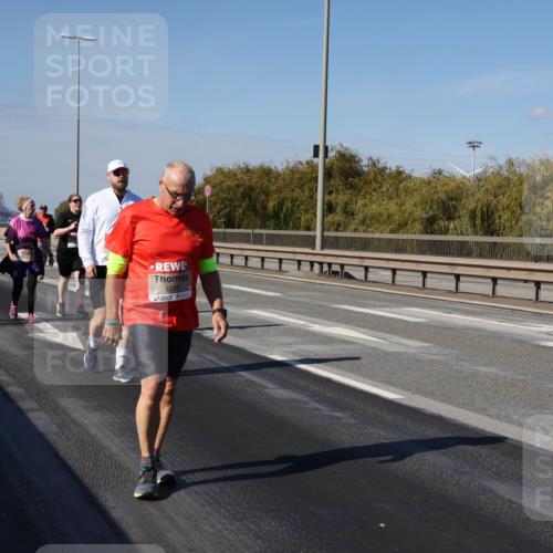 03.10.2025 - Köhlbrandbrückenlauf Julia Fischer http://msf.ph/oto/9016653 03.10.2025 13:19:31 Position 3 4295 meine-sportfotos.de