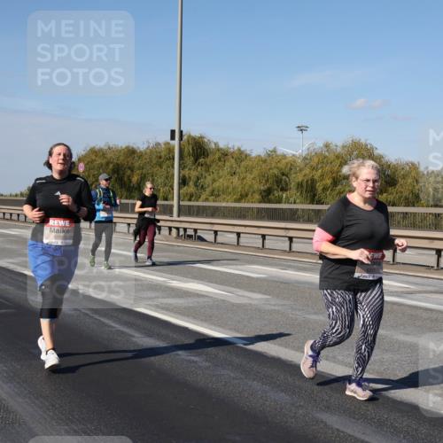03.10.2025 - Köhlbrandbrückenlauf Julia Fischer http://msf.ph/oto/9016704 03.10.2025 13:19:48 Position 3  meine-sportfotos.de