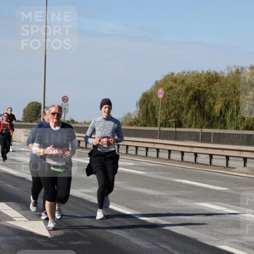 03.10.2025 - Köhlbrandbrückenlauf Julia Fischer http://msf.ph/oto/9016793 03.10.2025 13:20:17 Position 3 12, 1 meine-sportfotos.de
