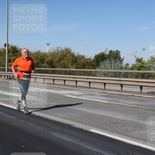 03.10.2025 - Köhlbrandbrückenlauf Julia Fischer http://msf.ph/oto/9016999 03.10.2025 13:21:58 Position 3  meine-sportfotos.de