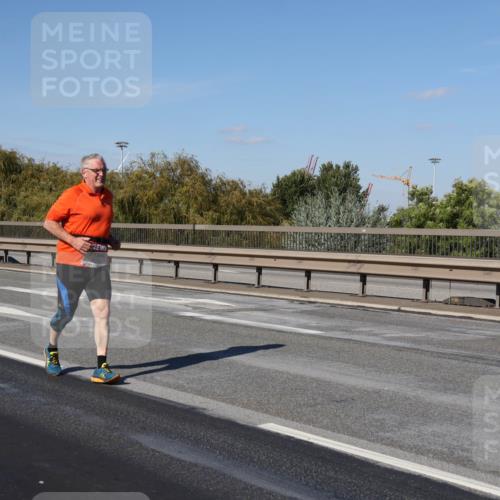 03.10.2025 - Köhlbrandbrückenlauf Julia Fischer http://msf.ph/oto/9017001 03.10.2025 13:21:58 Position 3  meine-sportfotos.de