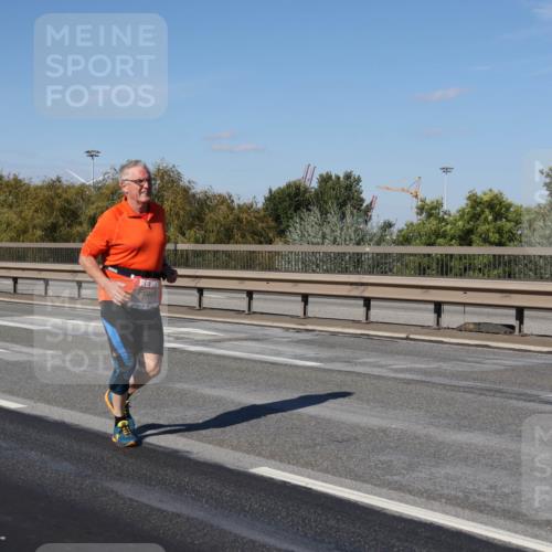 03.10.2025 - Köhlbrandbrückenlauf Julia Fischer http://msf.ph/oto/9017003 03.10.2025 13:21:58 Position 3  meine-sportfotos.de