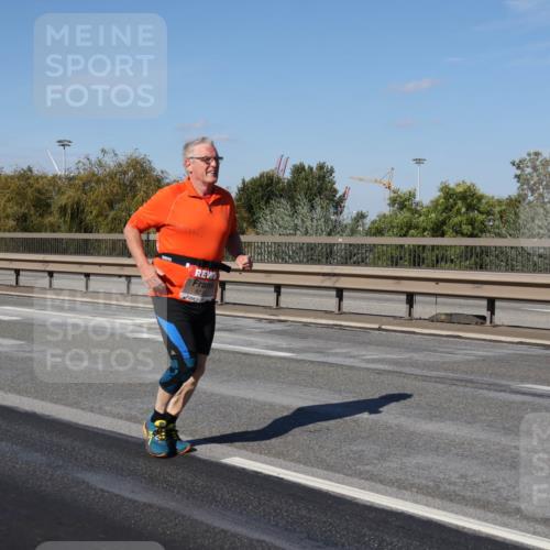 03.10.2025 - Köhlbrandbrückenlauf Julia Fischer http://msf.ph/oto/9017007 03.10.2025 13:21:59 Position 3  meine-sportfotos.de