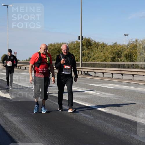 03.10.2025 - Köhlbrandbrückenlauf Julia Fischer http://msf.ph/oto/9017191 03.10.2025 13:23:44 Position 3  meine-sportfotos.de