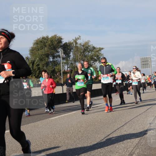 03.10.2025 - Köhlbrandbrückenlauf Luisa Fischer http://msf.ph/oto/9017752 03.10.2025 11:04:56 Position 3  meine-sportfotos.de
