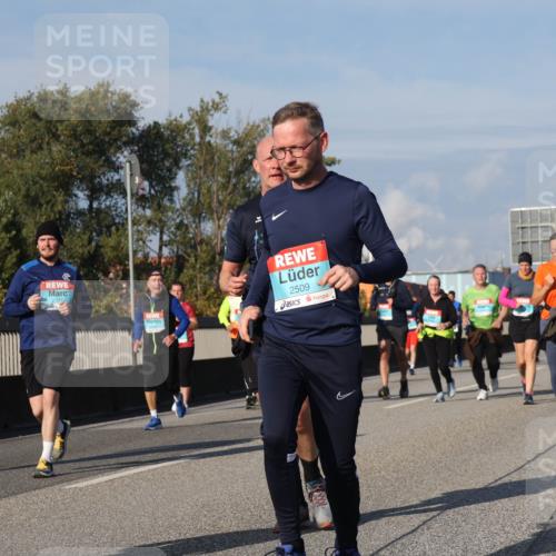 03.10.2025 - Köhlbrandbrückenlauf Luisa Fischer http://msf.ph/oto/9018897 03.10.2025 11:08:29 Position 3 1351, 2371, 2509 meine-sportfotos.de
