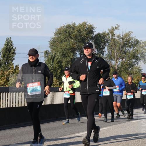 03.10.2025 - Köhlbrandbrückenlauf Luisa Fischer http://msf.ph/oto/9019116 03.10.2025 11:09:06 Position 3 3441, 2406, 3242, 3241 meine-sportfotos.de