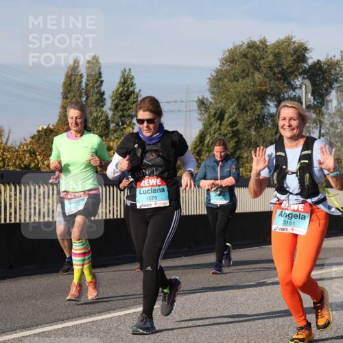 03.10.2025 - Köhlbrandbrückenlauf Luisa Fischer http://msf.ph/oto/9019292 03.10.2025 11:09:52 Position 3 1579, 3161 meine-sportfotos.de