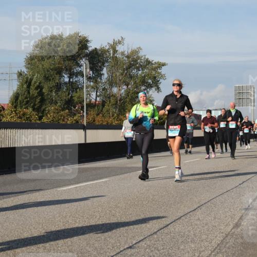 03.10.2025 - Köhlbrandbrückenlauf Luisa Fischer http://msf.ph/oto/9019586 03.10.2025 11:10:34 Position 3  meine-sportfotos.de