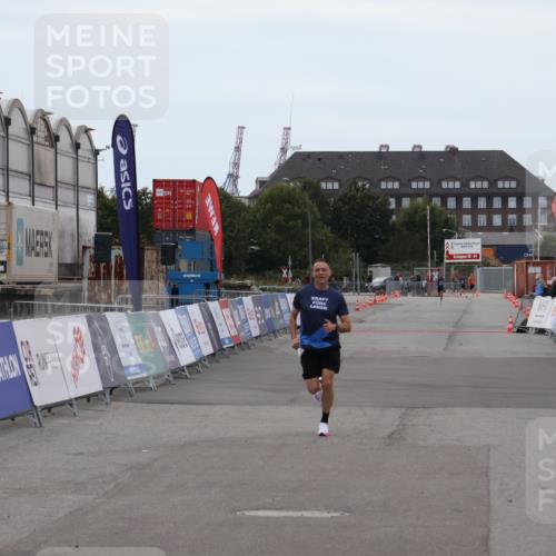 03.10.2025 - Köhlbrandbrückenlauf Julia Fischer http://msf.ph/oto/9022063 03.10.2025 15:45:29 Ziel 9148 meine-sportfotos.de