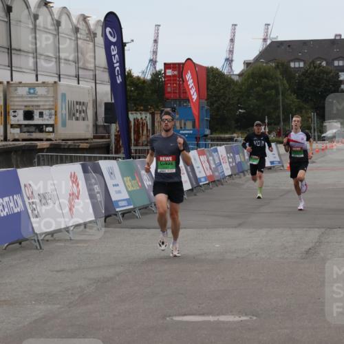 03.10.2025 - Köhlbrandbrückenlauf Julia Fischer http://msf.ph/oto/9022781 03.10.2025 15:49:43 Ziel 7021, 9041, 9617 meine-sportfotos.de