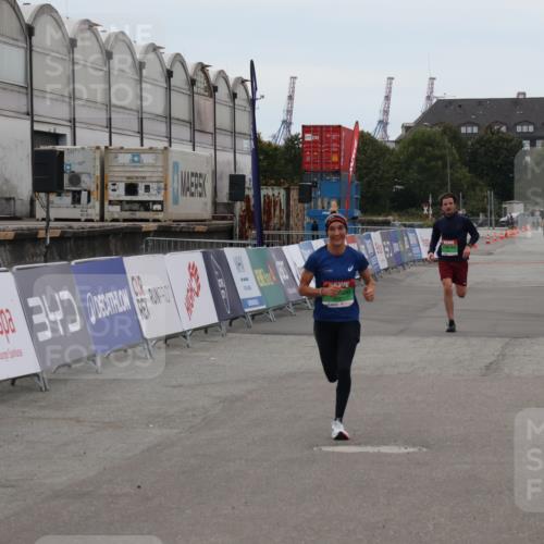03.10.2025 - Köhlbrandbrückenlauf Julia Fischer http://msf.ph/oto/9023401 03.10.2025 15:53:04 Ziel 9461, 9591 meine-sportfotos.de