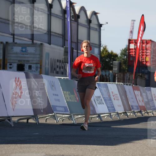 03.10.2025 - Köhlbrandbrückenlauf Luisa Fischer http://msf.ph/oto/9024000 03.10.2025 12:49:39 Ziel 5687, 5688, 6482 meine-sportfotos.de