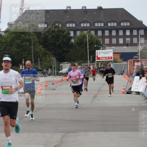 03.10.2025 - Köhlbrandbrückenlauf Julia Fischer http://msf.ph/oto/9024768 03.10.2025 15:56:51 Ziel 8782, 9664 meine-sportfotos.de