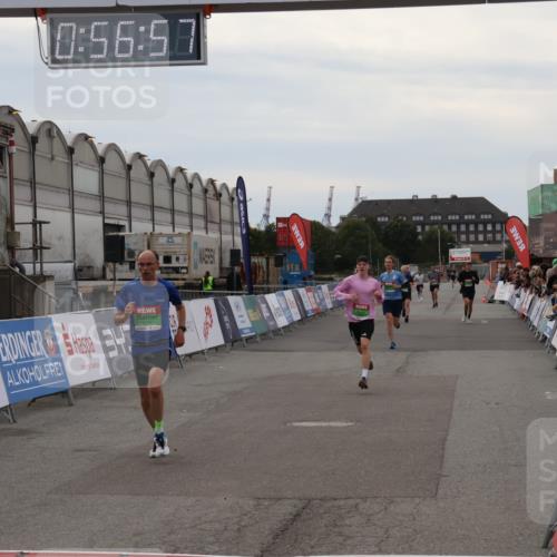 03.10.2025 - Köhlbrandbrückenlauf Julia Fischer http://msf.ph/oto/9024806 03.10.2025 15:56:57 Ziel 7882, 9226, 9664, 9665 meine-sportfotos.de