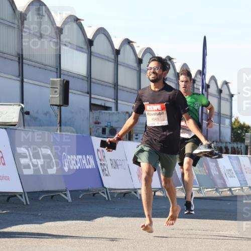 03.10.2025 - Köhlbrandbrückenlauf Luisa Fischer http://msf.ph/oto/9024970 03.10.2025 12:53:38 Ziel 4043, 4155, 6241, 6624, 6656, 6804 meine-sportfotos.de
