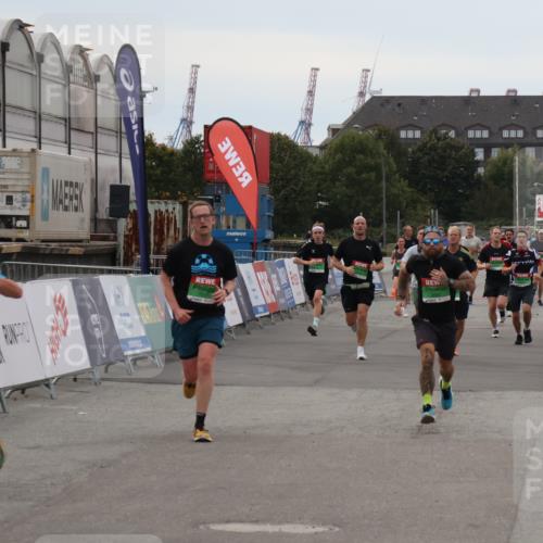 03.10.2025 - Köhlbrandbrückenlauf Julia Fischer http://msf.ph/oto/9025403 03.10.2025 15:58:44 Ziel 7017, 7176, 9057, 9187, 9582, 9715 meine-sportfotos.de