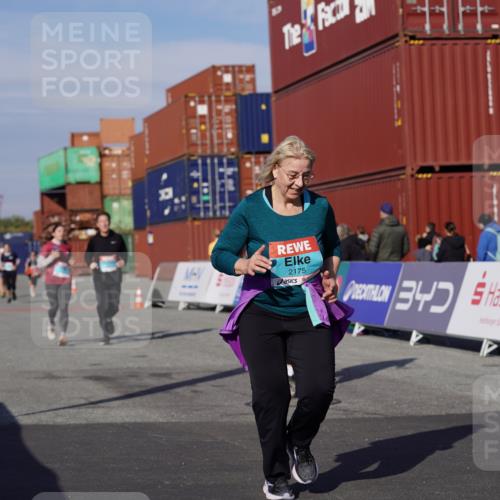 03.10.2025 - Köhlbrandbrückenlauf Michael Burmester http://msf.ph/oto/9029050 03.10.2025 10:33:40 Ziel 1963, 2175, 2211, 2465, 2511, 2838, 3254 meine-sportfotos.de