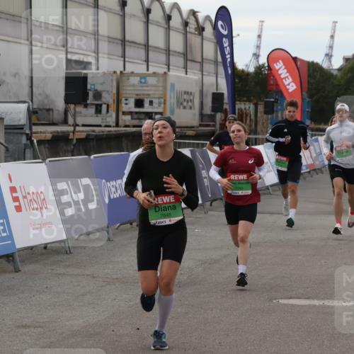 03.10.2025 - Köhlbrandbrückenlauf Julia Fischer http://msf.ph/oto/9030162 03.10.2025 16:10:30 Ziel 7112, 7126, 7139, 7217, 7304, 7384, 7385, 7421, 7543, 7648, 7844, 8097, 9542 meine-sportfotos.de