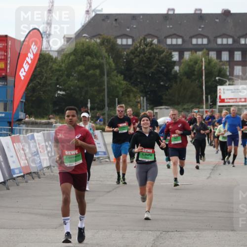 03.10.2025 - Köhlbrandbrückenlauf Julia Fischer http://msf.ph/oto/9030333 03.10.2025 16:10:54 Ziel 7834, 8776, 9169 meine-sportfotos.de