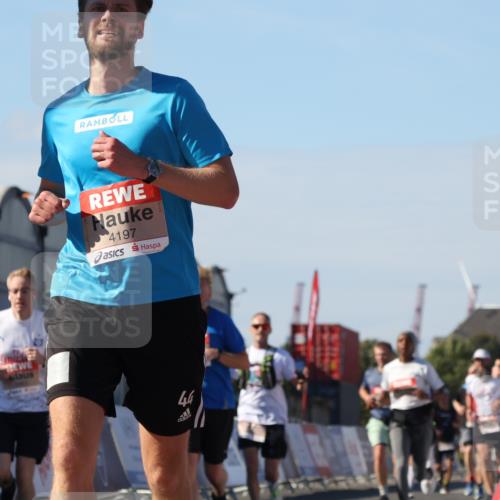 03.10.2025 - Köhlbrandbrückenlauf Luisa Fischer http://msf.ph/oto/9032601 03.10.2025 13:09:03 Ziel 4057, 4138, 4197, 4346, 4351, 4381, 4403, 4505, 4544, 5242, 5705, 5842, 5953, 6372, 6630, 6814, 6816 meine-sportfotos.de