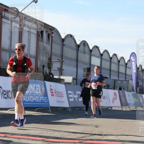 03.10.2025 - Köhlbrandbrückenlauf Luisa Fischer http://msf.ph/oto/9041122 03.10.2025 13:33:37 Ziel 4006, 4744, 5179, 5281, 5367, 5546, 5549, 5579, 6094, 6276, 6734 meine-sportfotos.de