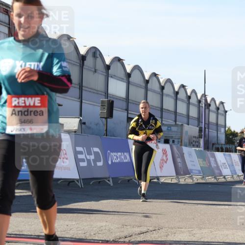 03.10.2025 - Köhlbrandbrückenlauf Luisa Fischer http://msf.ph/oto/9042797 03.10.2025 13:37:13 Ziel 5143, 5262, 5303, 5466, 5507, 5576, 6104, 6380, 6381, 6521 meine-sportfotos.de