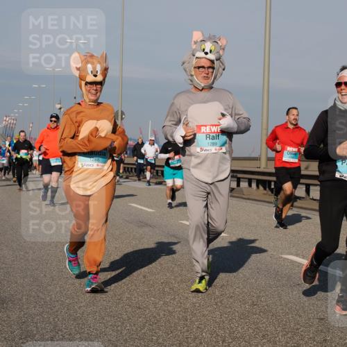 03.10.2025 - Köhlbrandbrückenlauf Fabian Wolf http://msf.ph/oto/9045701 03.10.2025 09:58:01 Position 3 1288, 1289, 1711 meine-sportfotos.de