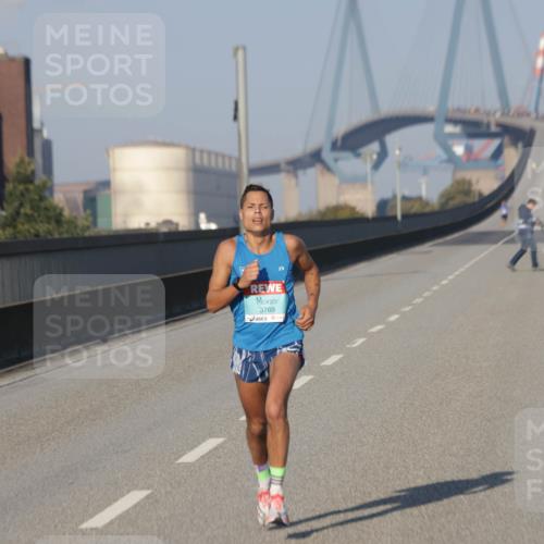 03.10.2025 - Köhlbrandbrückenlauf Jannik Wohlers http://msf.ph/oto/9049056 03.10.2025 09:32:52 Position 3 3769 meine-sportfotos.de