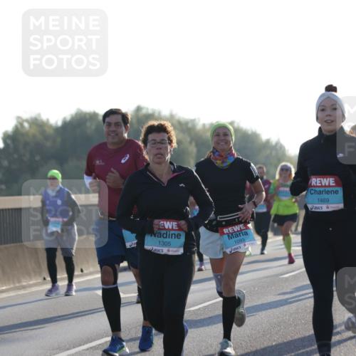 03.10.2025 - Köhlbrandbrückenlauf Jannik Wohlers http://msf.ph/oto/9051190 03.10.2025 09:19:01 Position 3 1615, 1305, 1093, 1469 meine-sportfotos.de