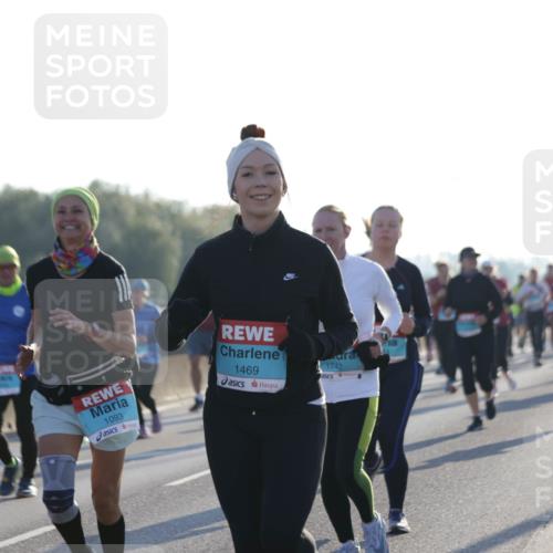 03.10.2025 - Köhlbrandbrückenlauf Jannik Wohlers http://msf.ph/oto/9051235 03.10.2025 09:19:02 Position 3 1305, 1093, 1469, 1742 meine-sportfotos.de