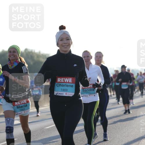 03.10.2025 - Köhlbrandbrückenlauf Jannik Wohlers http://msf.ph/oto/9051246 03.10.2025 09:19:02 Position 3 1305, 5, 1093, 1469, 1742 meine-sportfotos.de