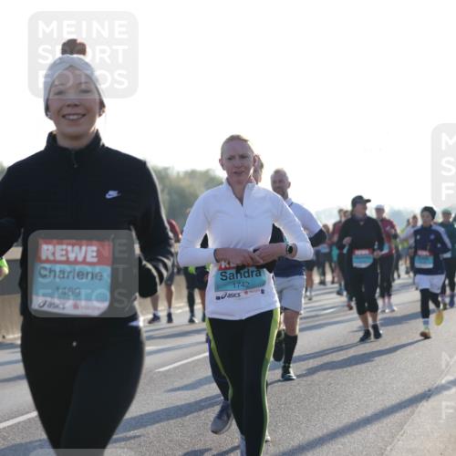 03.10.2025 - Köhlbrandbrückenlauf Jannik Wohlers http://msf.ph/oto/9051274 03.10.2025 09:19:03 Position 3 1093, 1469, 1742 meine-sportfotos.de