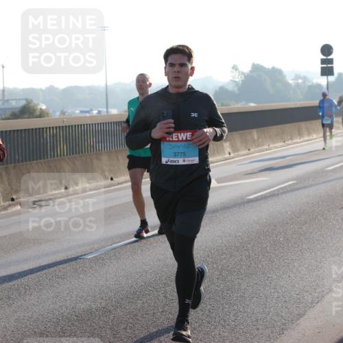 03.10.2025 - Köhlbrandbrückenlauf Lena Gebhardt http://msf.ph/oto/9052694 03.10.2025 09:15:24 Position 1 1237, 3775 meine-sportfotos.de