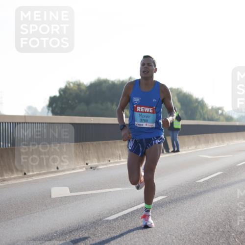 03.10.2025 - Köhlbrandbrückenlauf Jannik Wohlers http://msf.ph/oto/9052887 03.10.2025 09:09:45 Position 3 3769 meine-sportfotos.de