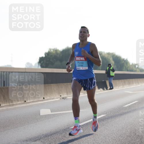 03.10.2025 - Köhlbrandbrückenlauf Jannik Wohlers http://msf.ph/oto/9052903 03.10.2025 09:09:45 Position 3 3769 meine-sportfotos.de