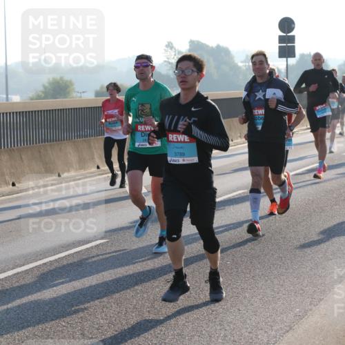 03.10.2025 - Köhlbrandbrückenlauf Lena Gebhardt http://msf.ph/oto/9053054 03.10.2025 09:15:38 Position 1 28, 3789, 2934 meine-sportfotos.de