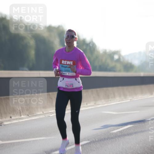 03.10.2025 - Köhlbrandbrückenlauf Jannik Wohlers http://msf.ph/oto/9054012 03.10.2025 09:11:37 Position 3 3203 meine-sportfotos.de