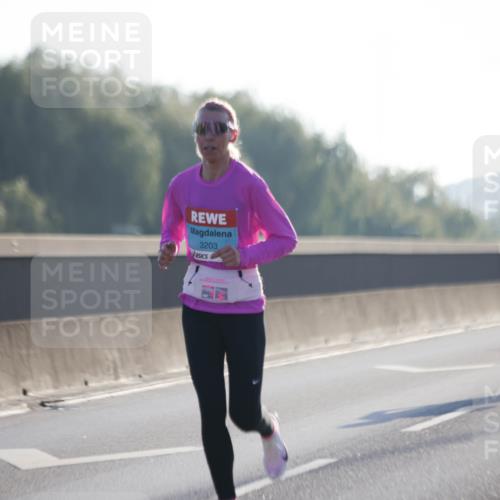03.10.2025 - Köhlbrandbrückenlauf Jannik Wohlers http://msf.ph/oto/9054027 03.10.2025 09:11:37 Position 3 3203 meine-sportfotos.de
