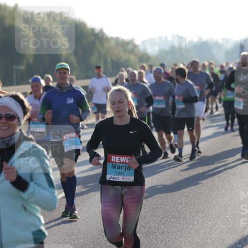 03.10.2025 - Köhlbrandbrückenlauf Jannik Wohlers http://msf.ph/oto/9054476 03.10.2025 09:20:18 Position 3 3736, 3445 meine-sportfotos.de