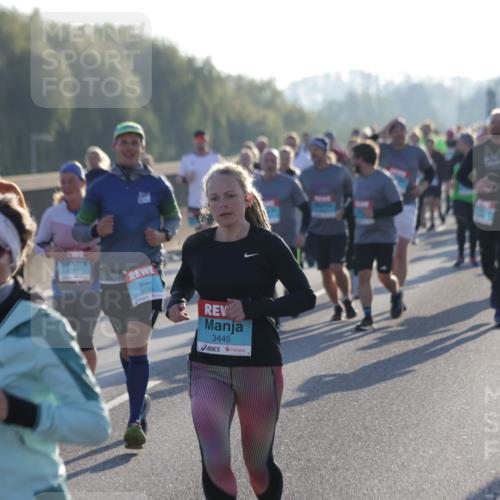 03.10.2025 - Köhlbrandbrückenlauf Jannik Wohlers http://msf.ph/oto/9054483 03.10.2025 09:20:18 Position 3 3736, 3445 meine-sportfotos.de
