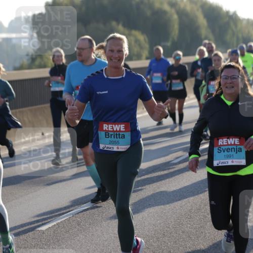 03.10.2025 - Köhlbrandbrückenlauf Jannik Wohlers http://msf.ph/oto/9057739 03.10.2025 09:21:24 Position 3 3382, 2055, 1991, 3796 meine-sportfotos.de