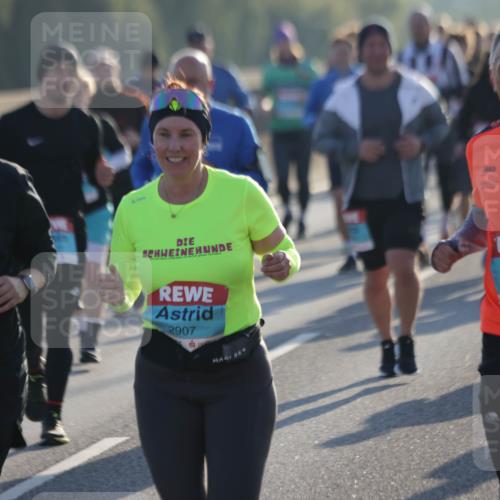 03.10.2025 - Köhlbrandbrückenlauf Jannik Wohlers http://msf.ph/oto/9060082 03.10.2025 09:22:30 Position 3 2072, 2907, 200, 3576 meine-sportfotos.de