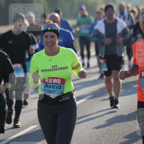 03.10.2025 - Köhlbrandbrückenlauf Jannik Wohlers http://msf.ph/oto/9060087 03.10.2025 09:22:30 Position 3 2072, 2907, 055, 3576 meine-sportfotos.de