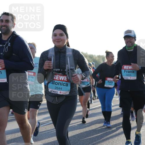 03.10.2025 - Köhlbrandbrückenlauf Jannik Wohlers http://msf.ph/oto/9061946 03.10.2025 09:23:22 Position 3 2635, 2644, 3455 meine-sportfotos.de