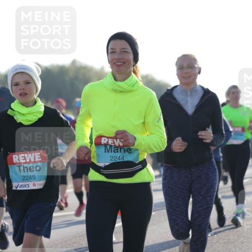 03.10.2025 - Köhlbrandbrückenlauf Jannik Wohlers http://msf.ph/oto/9062120 03.10.2025 09:23:27 Position 3 2245, 2244 meine-sportfotos.de