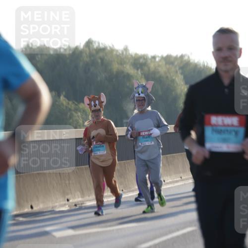 03.10.2025 - Köhlbrandbrückenlauf Jannik Wohlers http://msf.ph/oto/9069370 03.10.2025 09:17:00 Position 3 1289 meine-sportfotos.de