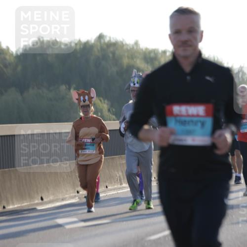 03.10.2025 - Köhlbrandbrückenlauf Jannik Wohlers http://msf.ph/oto/9069398 03.10.2025 09:17:01 Position 3  meine-sportfotos.de