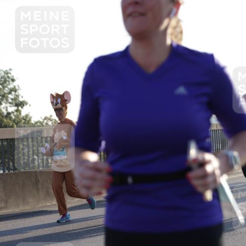 03.10.2025 - Köhlbrandbrückenlauf Jannik Wohlers http://msf.ph/oto/9069556 03.10.2025 09:17:05 Position 3  meine-sportfotos.de