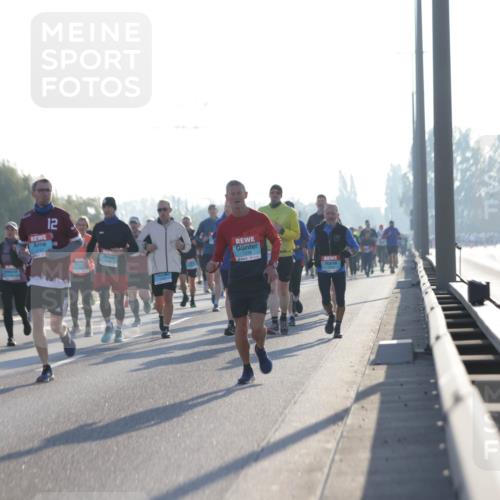03.10.2025 - Köhlbrandbrückenlauf Jannik Wohlers http://msf.ph/oto/9069721 03.10.2025 09:17:13 Position 3 12 meine-sportfotos.de
